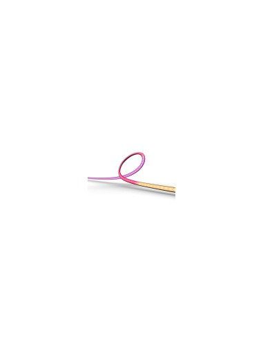 Philips Hue White and Color ambiance Play gradient lightstrip 55 inch Negro