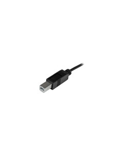 StarTech.com Cable de 2m USB-C a USB B Macho a Macho negro 2