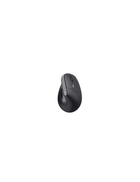 Trust TM-270 ratón mano derecha RF inalámbrico Í?ptico 2400 DPI