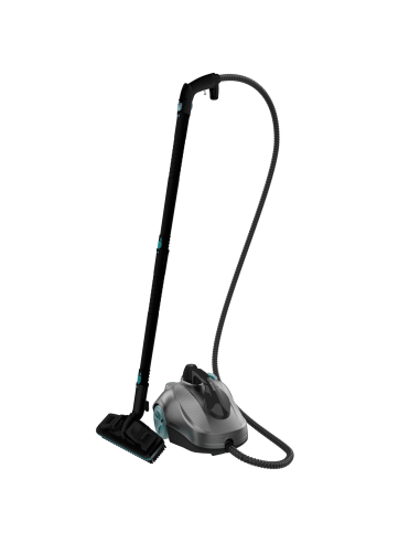 HydroSteam 2000 EasyHome Max