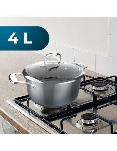 Olla Polka Classy 24 Pot Steel