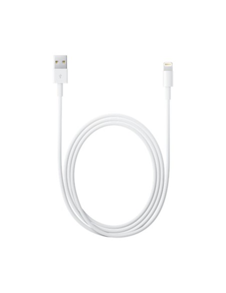 APPLE LIGHTNING TO USB CABLE 2M MD819ZM/A