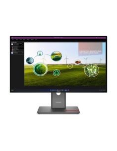 Lenovo ThinkVision P27Q-40 LED display 68,6 cm (27") 2560 x 1440 Pixeles Quad HD Negro