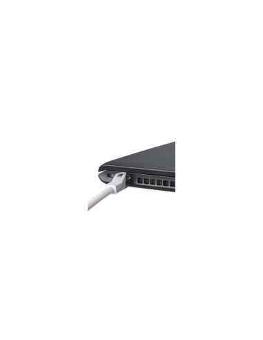 Phasak Cable de Red 100% Cu Cat.6 UTP Sólido Gris 0.25M