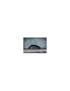 RATON CORSAIR HARPOON RGB PRO 12000DPI OPTICAL NEGRO GAMING CH-9301111-EU 2