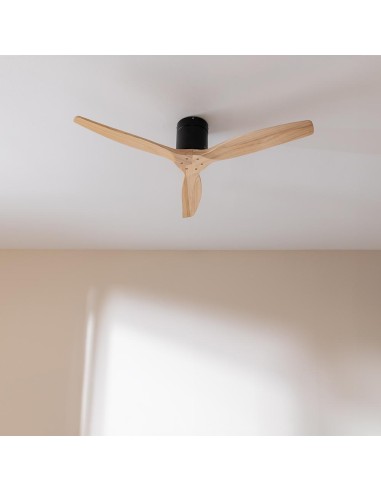 EnergySilence Aero 5500 Aqua Black&LightWood Connected