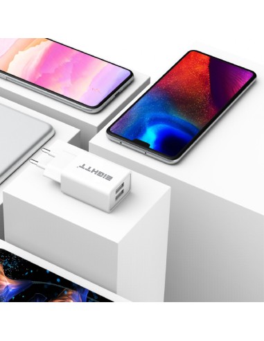 Eightt Cargador Smartphone / Tablet Micro USB 5V 2.4A con cable Micro USB