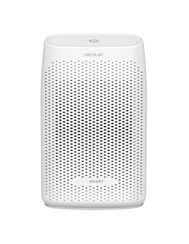 Deshumidificador BigDry 2000 Essential