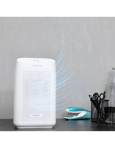 Deshumidificador BigDry 2000 Essential