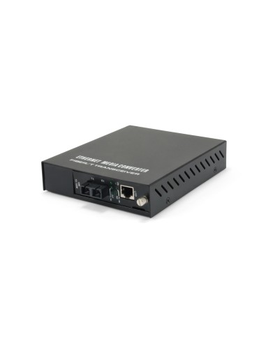 LevelOne FVM-1101 convertidor de medio 100 Mbit/s 1310 nm Negro