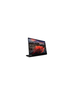Lenovo ThinkVision M14t pantalla para PC 35,6 cm (14") 2240 x 1400 Pixeles 2.2K LED Pantalla táctil Negro 2