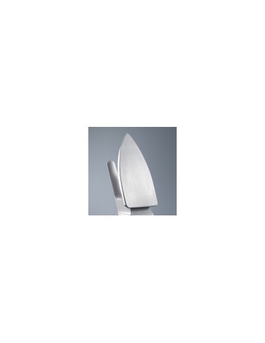Severin BA 3211 plancha Plancha vapor-seco 1000 W Azul, Plata