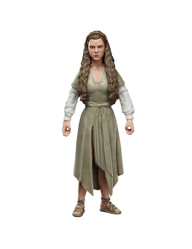 Star Wars The Black Series F43525X0 toy figure