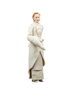 Star Wars The Black Series F55305X0 toy figure