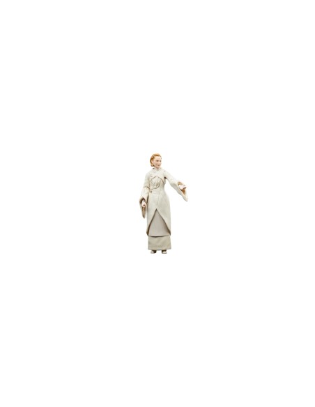 Star Wars The Black Series F55305X0 toy figure