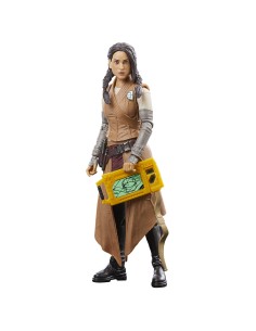 Star Wars The Black Series F55285X0 toy figure