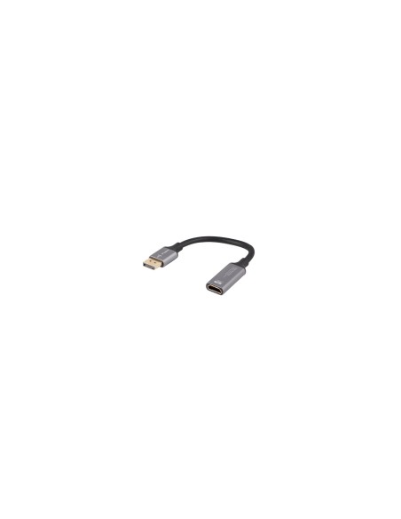 Lanberg AD-DP-HD-02 adaptador de cable de vídeo 0,2 m DisplayPort HDMI Plata