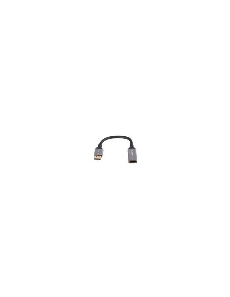 Lanberg AD-DP-HD-02 adaptador de cable de vídeo 0,2 m DisplayPort HDMI Plata