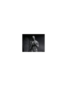 NECA Ultimate Mummy (Black & White) 2