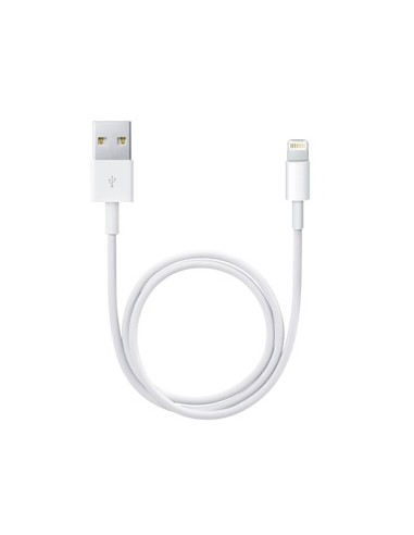 APPLE LIGHTNING TO USB CABLE 0.5M ME291ZM/A