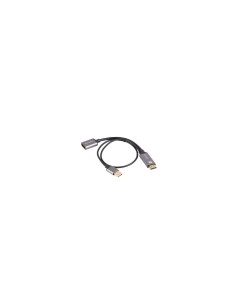Lanberg AD-HD-DP-02 adaptador de cable de vídeo 0,2 m HDMI tipo A (Estándar) DisplayPort Plata