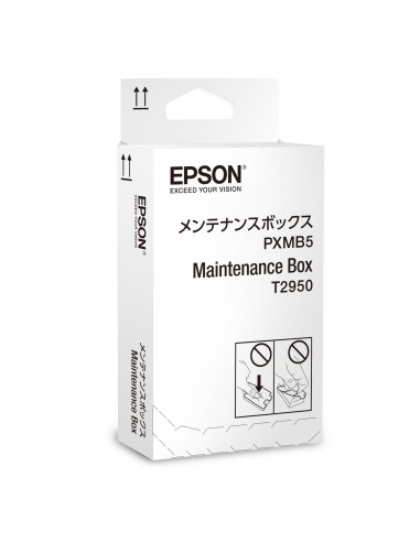 Epson WorkForce WF-100W Series Maintenance Box