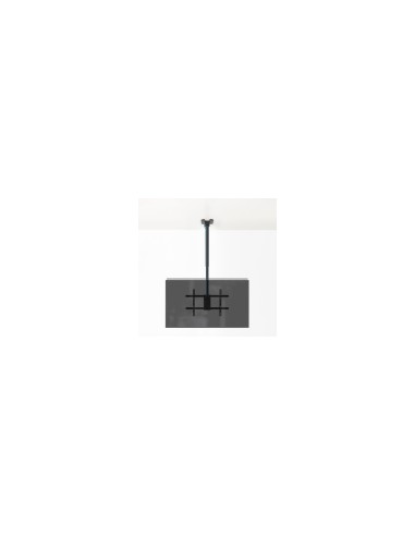 TooQ Soporte de Techo para 2 Pantallas 43"-86", Negro