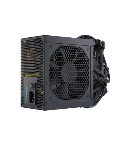 Seasonic Netzteil 850W G12 GC-850 80+Gold unidad de fuente de alimentaciÃ³n