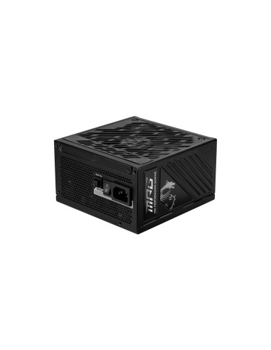MSI MPG A1250GS PCIE5 unidad de fuente de alimentaciÃ³n 1250 W 20+4 pin ATX ATX Negro