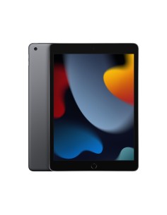Apple iPad 256 GB 25,9 cm (10.2") Wi-Fi 5 (802.11ac) iPadOS 15 Gris