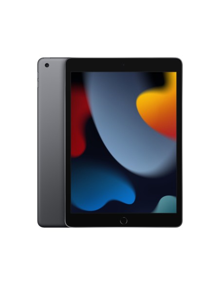 Apple iPad 256 GB 25,9 cm (10.2") Wi-Fi 5 (802.11ac) iPadOS 15 Gris