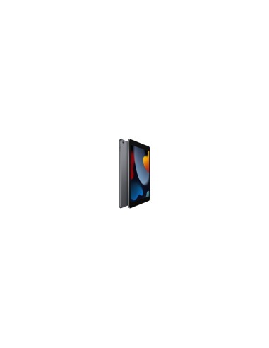 Apple iPad 256 GB 25,9 cm (10.2") Wi-Fi 5 (802.11ac) iPadOS 15 Gris