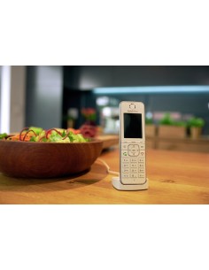 FRITZ!Fon C6 TelÃ©fono DECT Identificador de llamadas Blanco