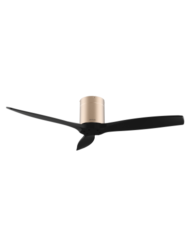 EnergySilence Aero 5500 Aqua GoldBlack Connected