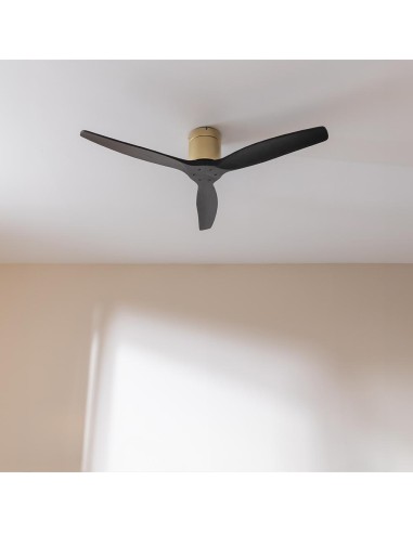 EnergySilence Aero 5500 Aqua GoldBlack Connected