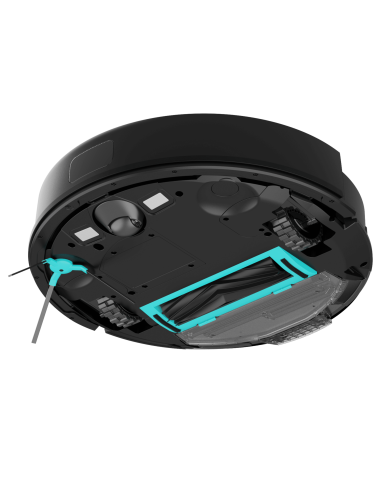 Conga 7690 Immortal Max M