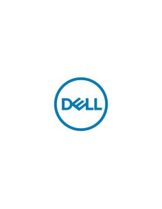 DELL 161-BBZU disco duro interno 1 TB 7200 RPM 3.5" Serial ATA III