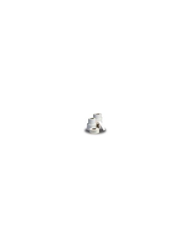 Zebra Z-Select 2000T, 31 x 22mm Blanco