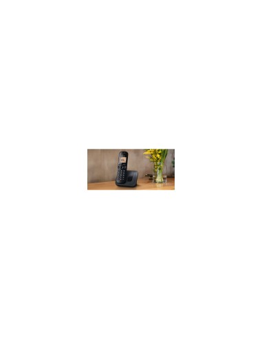 Panasonic KX-TGC250 TelÃ©fono DECT Identificador de llamadas Negro