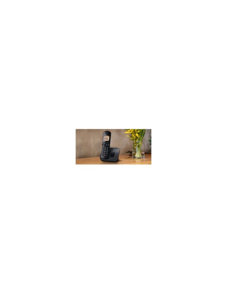 Panasonic KX-TGC250 TelÃ©fono DECT Identificador de llamadas Negro