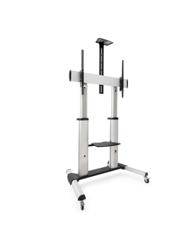 TooQ PartenÃ³n 2,54 m (100") Plata