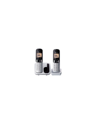 TELEFONO INALAMBRICO DECT PANASONIC PACK DUO IDENTIFICACION LLAMADAS AGENDA COMPARTIDA PANTALLA 4.1CM GRIS NEGRO KX-TGC212PL/SPS