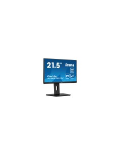 iiyama ProLite XUB2292HSU-B6 22" Negro Monitor