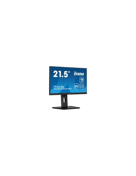 iiyama ProLite XUB2292HSU-B6 22" Negro Monitor