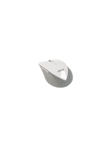 Asus WT465 Raton RF inalambrico optico 1600dpi gris blanco