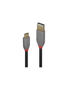 Lindy 36913 cable USB 2 m USB C USB A Negro