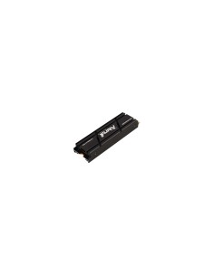 Kingston Technology FURY Renegade M.2 1000 GB PCI Express 4.0 3D TLC NVMe 2
