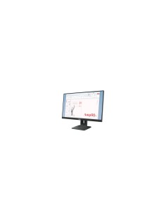 Lenovo ThinkVision E24-40 LED display 60,5 cm (23.8") 1920 x 1080 Pixeles Full HD LCD Negro 2