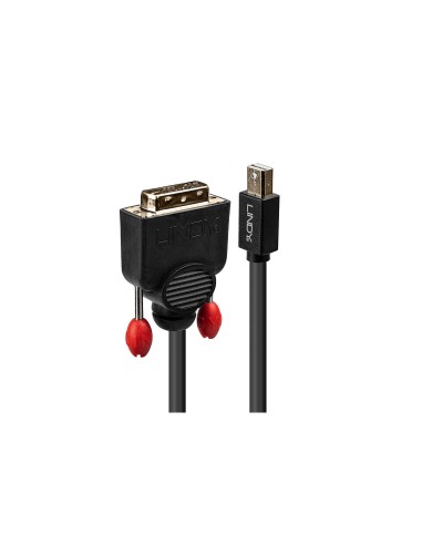 Lindy 41952 adaptador de cable de vÃÂ­deo 2 m Mini DisplayPort DVI-D Negro