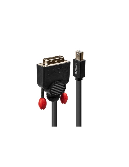 Lindy 41952 adaptador de cable de vÃÂ­deo 2 m Mini DisplayPort DVI-D Negro